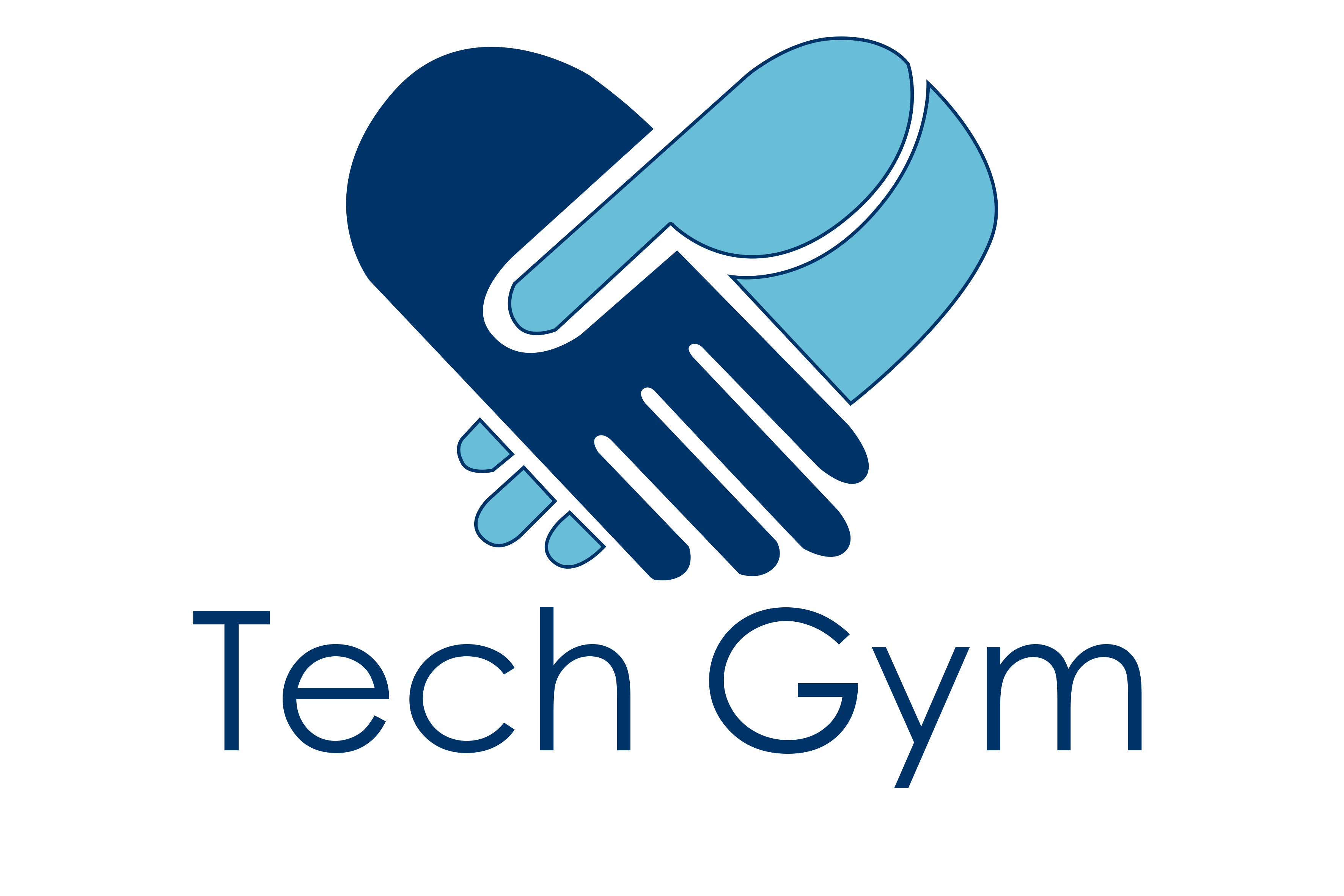 Logo - Tech Gym - Trans-1